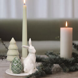 Winther Stories | Courius Hare, Dottir Nordic Design