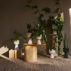 Nappula Flowerpot small, white, Iittala