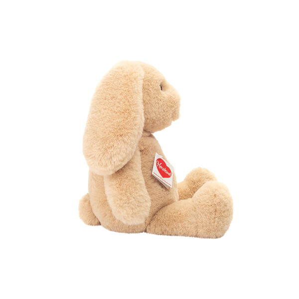 Franny the Rabbit, Teddy Hermann