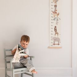 World of Sebra Height Gauge, beige, Sebra