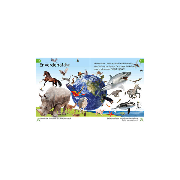 Dyreleksikon for de yngste, Forlaget Globe