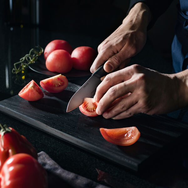 Taiten Paring Knife, Fiskars