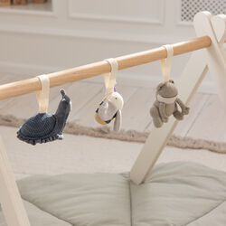 Frog, Bee and Snail activity toy, Sebra