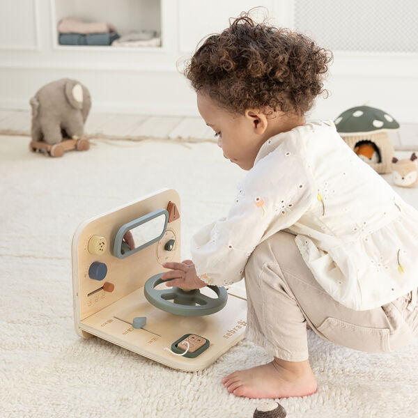 Car Activity Panel Car Activity Panel, Sebra