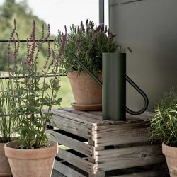 Bloom Flower Watering Can, pine, Stelton