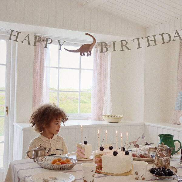 Birthday Kit, dino, Konges Sl&oslash;jd