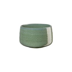 Matcha set | Matsu shiny, ASA Selection
