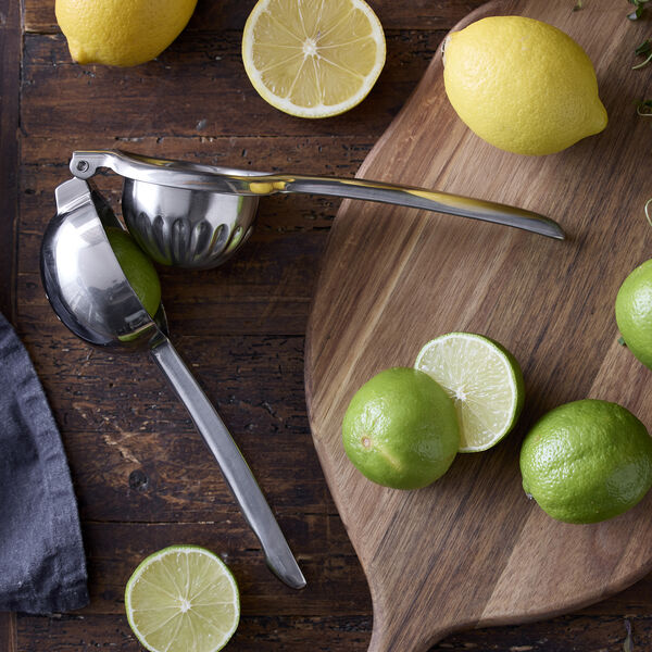 Citrus squeezer, HOLM