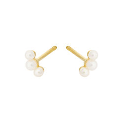 Ocean Pearl Earsticks, gold, Pernille Corydon Jewellery