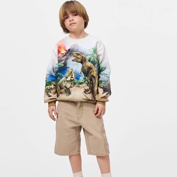 Miksi Sweater, hot spring dinos, Molo