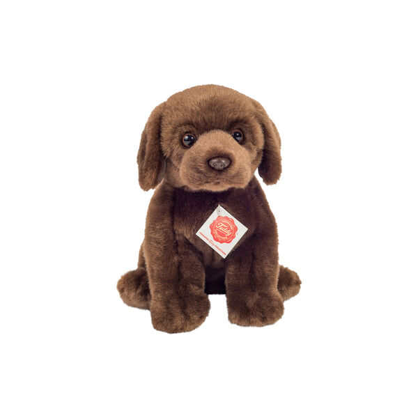 Sitting Labrador, Teddy Hermann