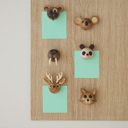 Magnetic Polly, Spring Copenhagen