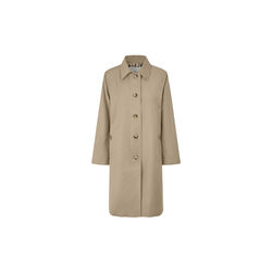 MaTolruna, petrified oak, Masai