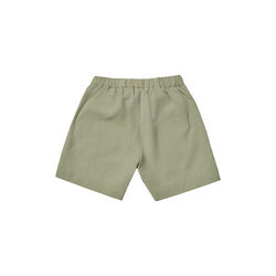 Wilder Shorts, turtle, Lalaby