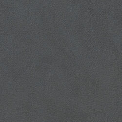 Nupo table mat Circle L, anthracite, LIND DNA