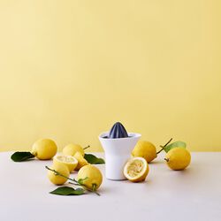 Citrus Squeezer, white/grey, RIG-TIG