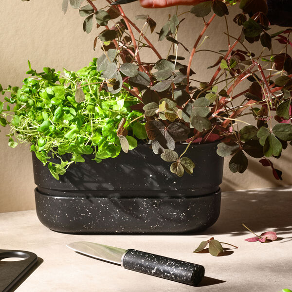 POT-IT Herb Organizer, black POT-IT Herb Organizer, black, RIG-TIG