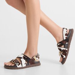 Tea Animal, cow, WODEN