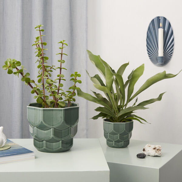 Samsurium Flowerpot, spruce Samsurium Flowerpot, spruce, Dottir Nordic Design