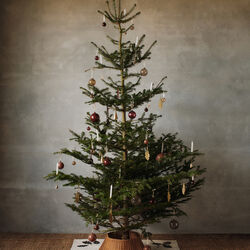 Glass Baubles M 3 pcs. | Roseate translucent | Christmas decorations, Ferm Living