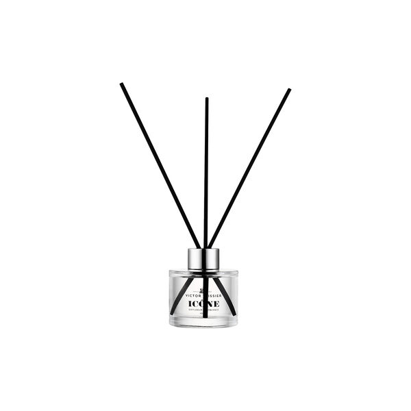 Room Diffuser Ic&ocirc;ne, Victor Vaissier