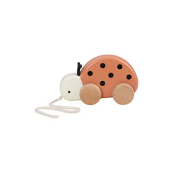 Luca the ladybird Pull-along Toy, Sebra