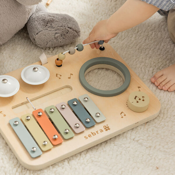 Music Activity Panel Music Activity Panel, Sebra