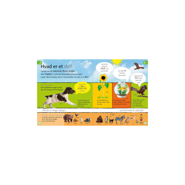 Dyreleksikon for de yngste, Forlaget Globe