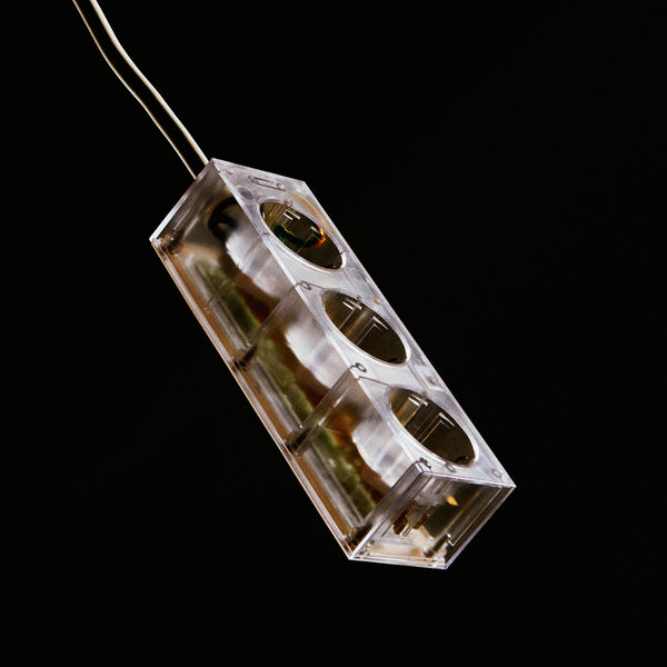 Power Bar 2 meters, ghost, Pedestal