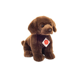 Sitting Labrador, Teddy Hermann