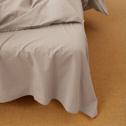 Flat Sheet I | Dried Herb, Aiayu