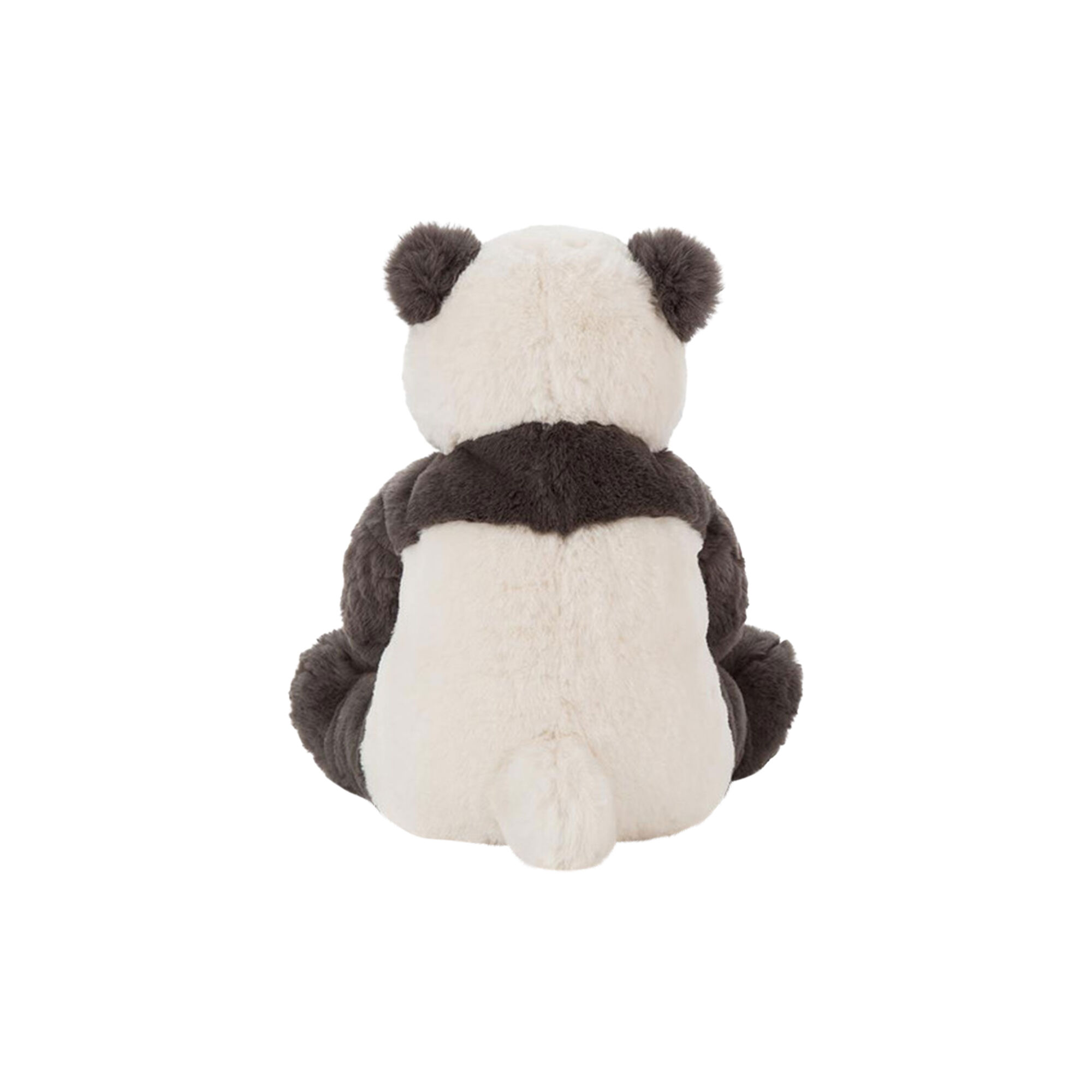 Harry panda cub 2025