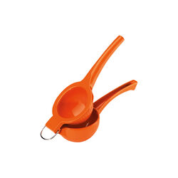 ARANCIA Orange Press, Cilio