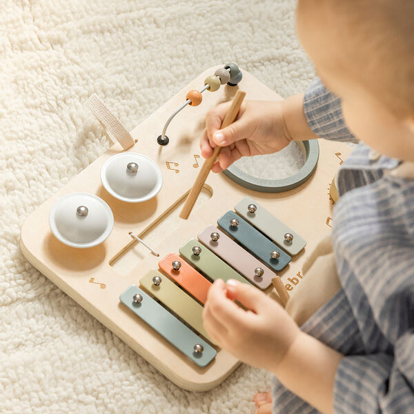 Music Activity Panel Music Activity Panel, Sebra