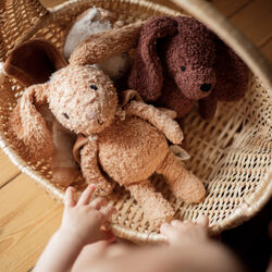 The Listening Rabbit with Cape, Sleeping Hero