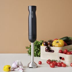 FOODIE Hand Blender, black, RIG-TIG