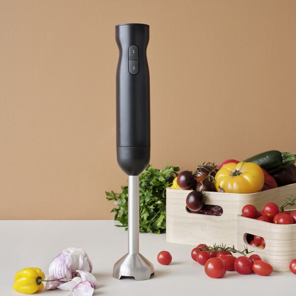 FOODIE Hand Blender, black, RIG-TIG