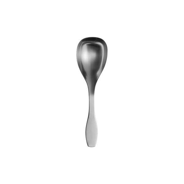 Citterio Collective Tools Serving Spoon, L, Iittala