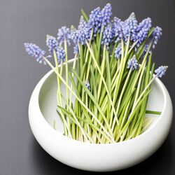 Nest Bowl, Kay Bojesen