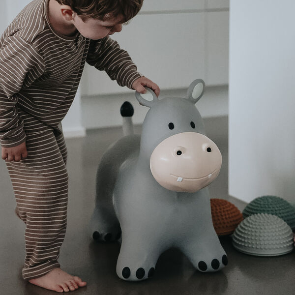 Holger the Hippo Jumping Animal, Find that hippo