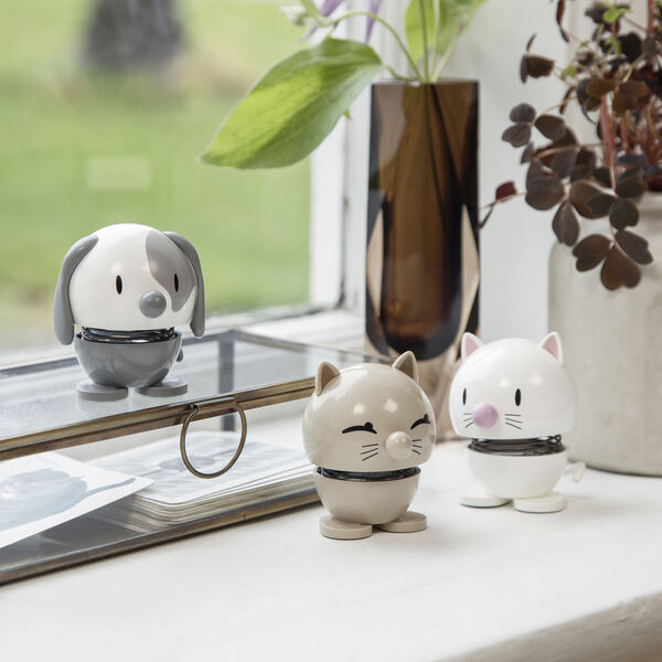 Cat, latte, Hoptimist