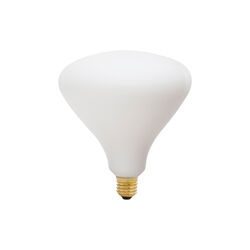 Noma light bulb, Tala