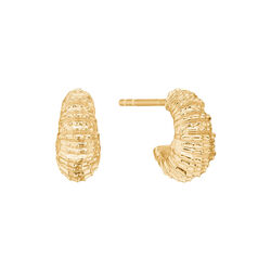Seashell Secrets Earrings, gold plated, Studio Z