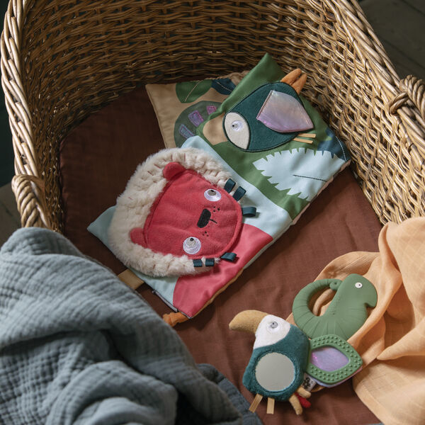 Tully the Toucan Activity Rattle with Mirror, green, Sebra