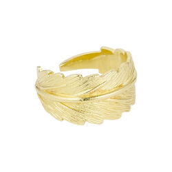 Linn wide ring, gold plated, Pure by Nat
