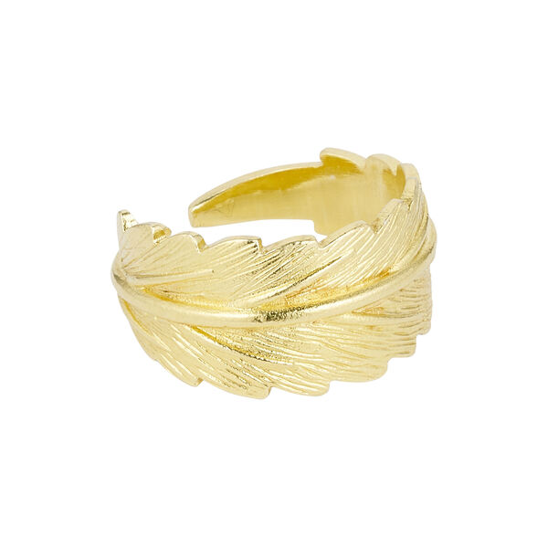 Linn wide ring, gold plated Linn wide ring, gold plated, Pure by Nat