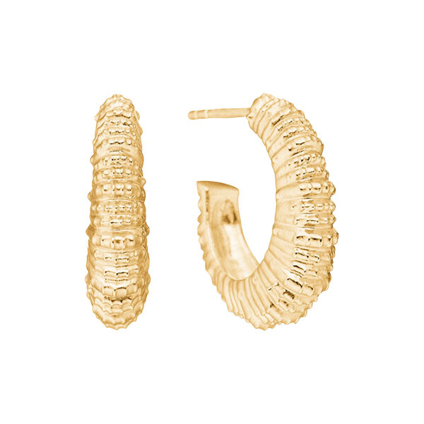 Seashell Secrets Earrings, gold plated, Studio Z