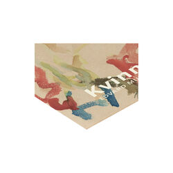 Kvinneakt, Poster & Frame