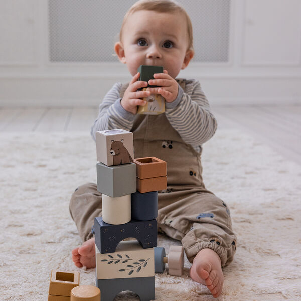 World of Sebra Magic Blocks Box, Sebra