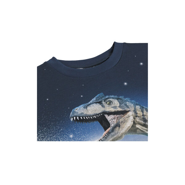Roxo T-shirts, moonlit dinos, Molo